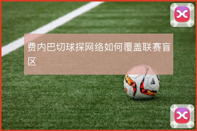 费内巴切球探网络如何覆盖联赛盲区