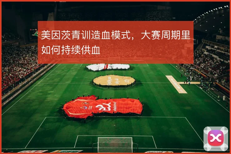 美因茨青训造血模式，大赛周期里如何持续供血