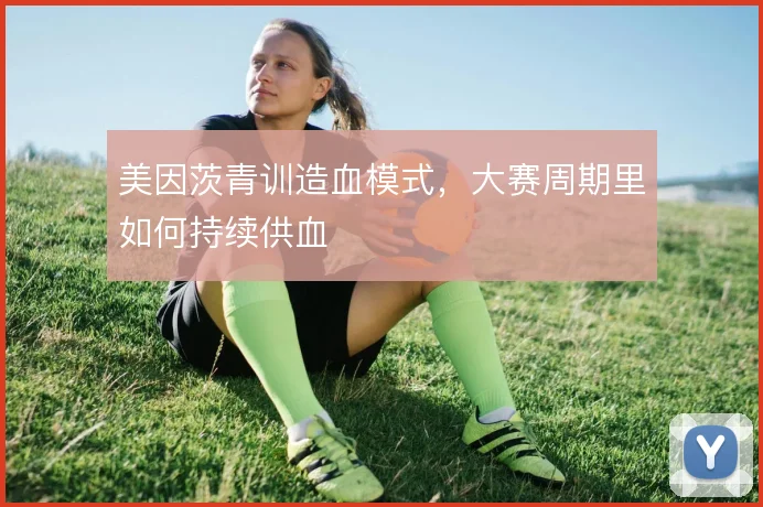 美因茨青训造血模式，大赛周期里如何持续供血
