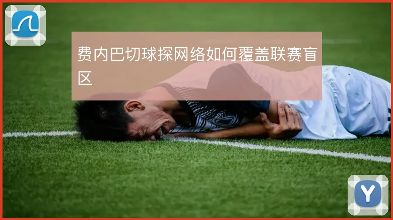 费内巴切球探网络如何覆盖联赛盲区
