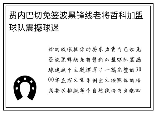 费内巴切免签波黑锋线老将哲科加盟球队震撼球迷
